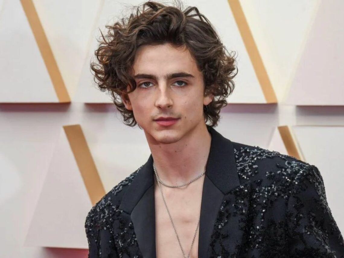 Watch Timothée Chalamet rap to his favourite song live on French TV