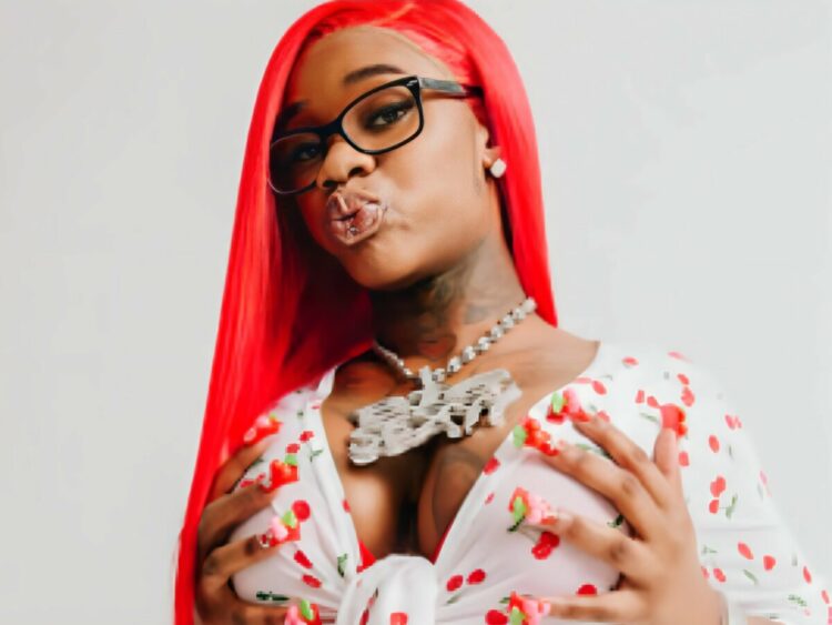 Sexxy Red - Hip Hop Hero