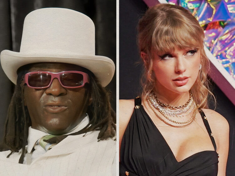 Flavor Flav - Taylor Swift - Split - Hip Hop Hero
