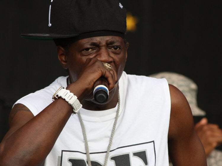 Flavor Flav - Public Enemy - Rapper - 2014