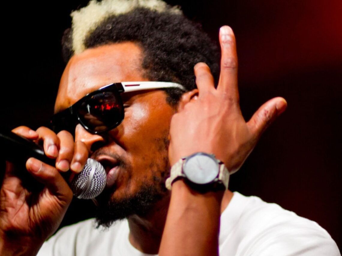 Del the Funky Homosapien - Hip Hop Hero